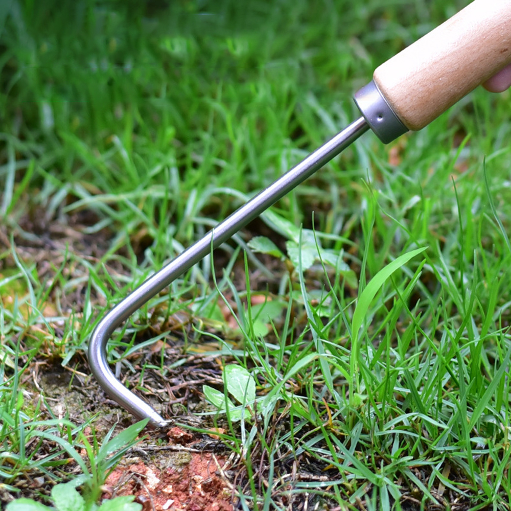 1PC Single Claw Hook Soil Loos - Bonsai Garden Plants ulasan dan harga