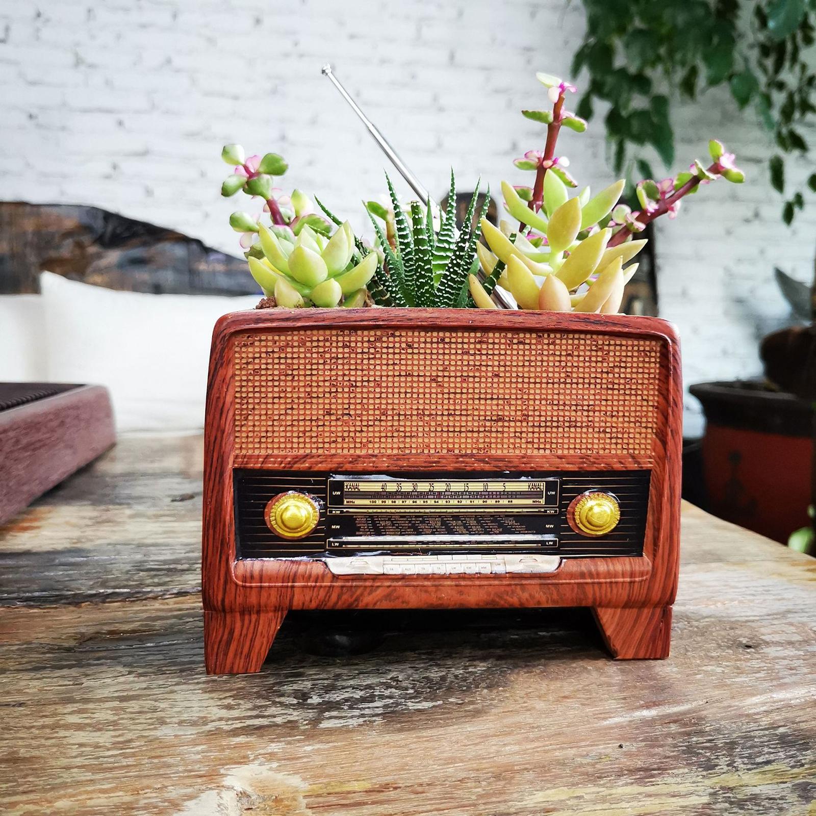 Resin Pot Radio Shape Supplies - Bonsai Garden Plants ulasan dan harga