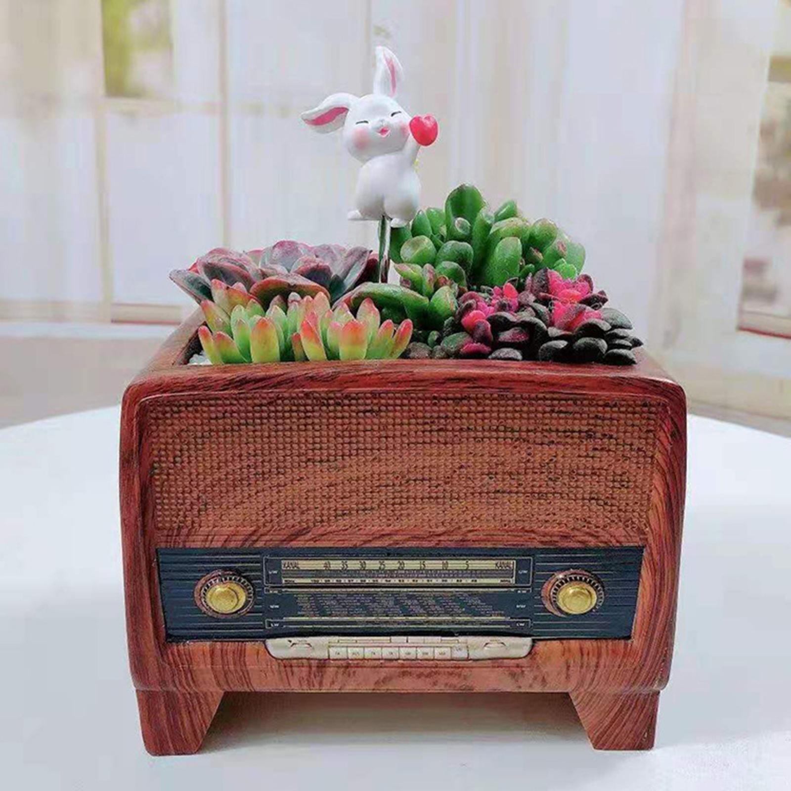 Resin Pot Radio Shape Supplies - Bonsai Garden Plants ulasan dan harga