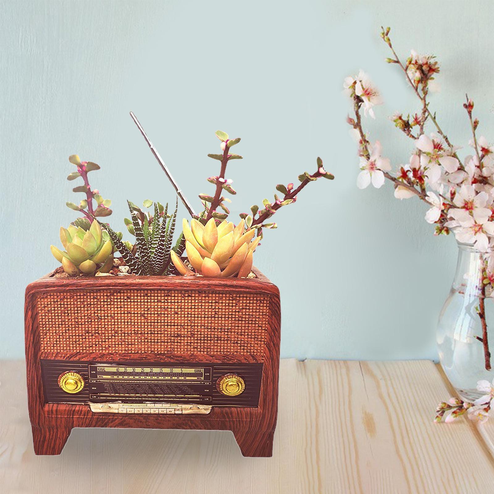 Resin Pot Radio Shape Supplies - Bonsai Garden Plants ulasan dan harga