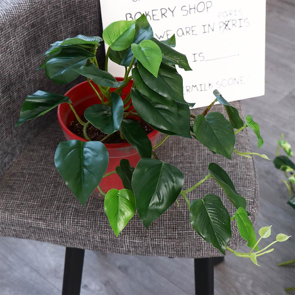 Tropical Nordic Desk Office Ga - Bonsai Garden For Desk ulasan dan harga