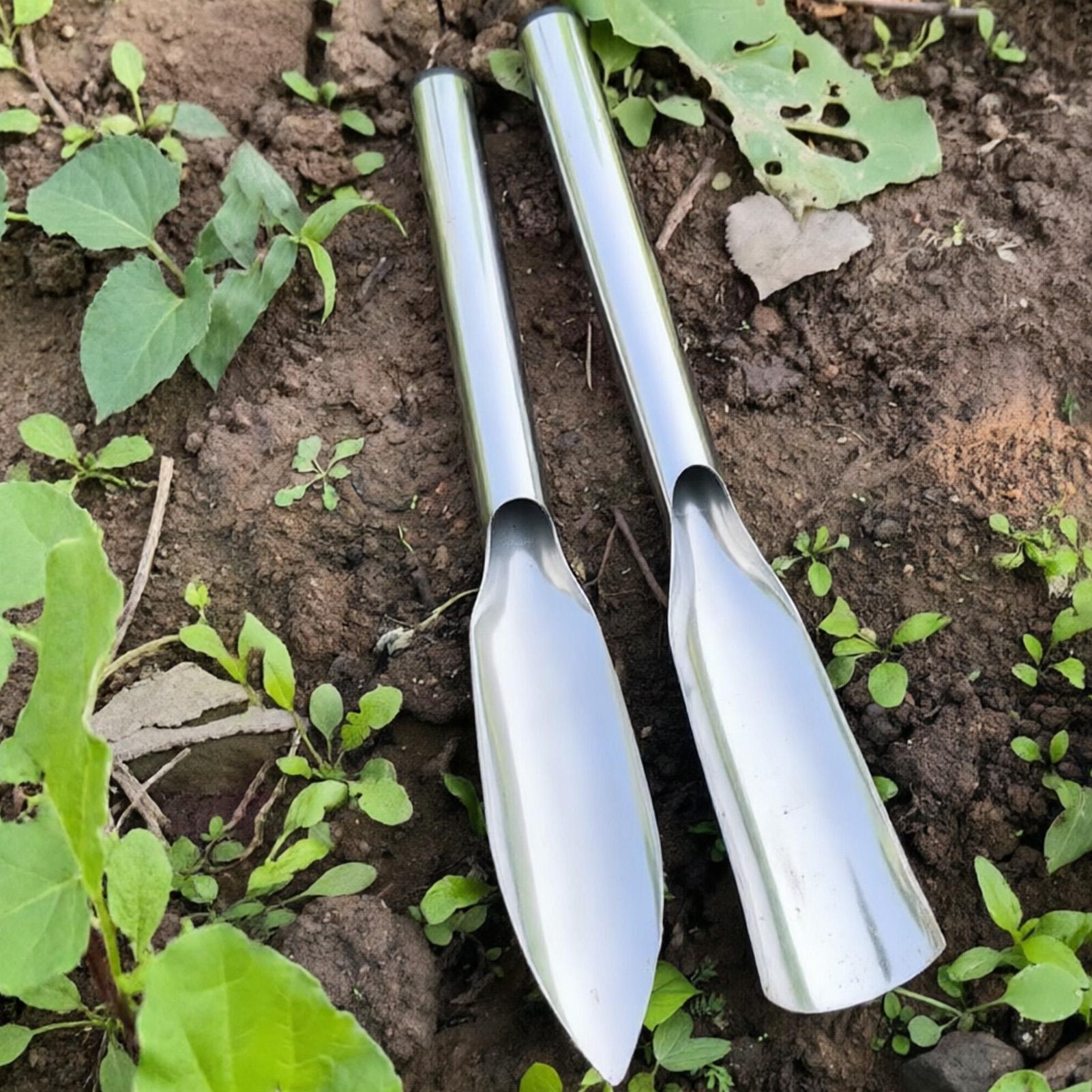 Soil Scoop For Indoor Plants S - Soil Scoop Tool ulasan dan harga