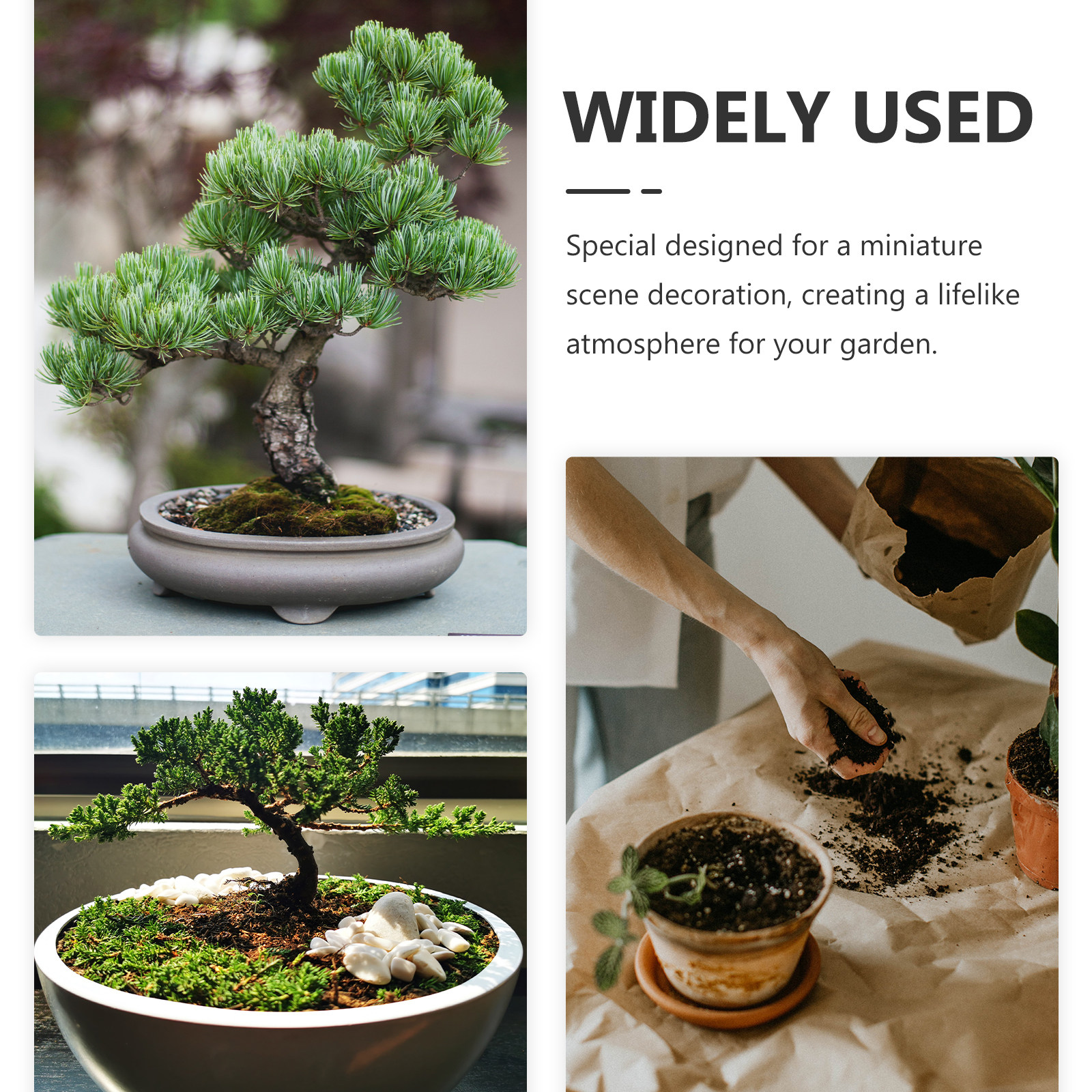 10Pcs Glow in Dark Mushroom De - Bonsai Garden For Desk ulasan dan harga