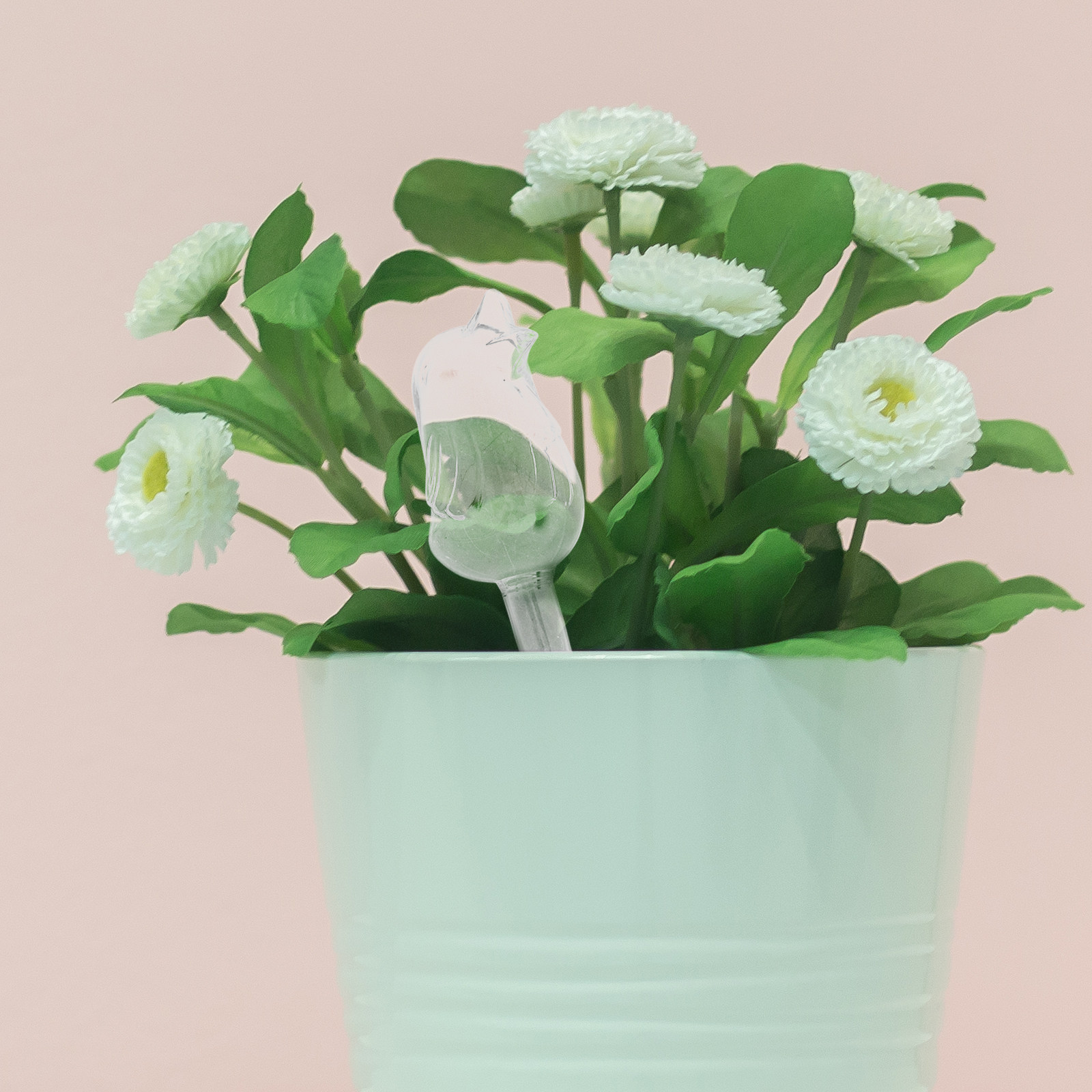 Glass Self-Watering Globes Aut - Bonsai Garden Plants ulasan dan harga