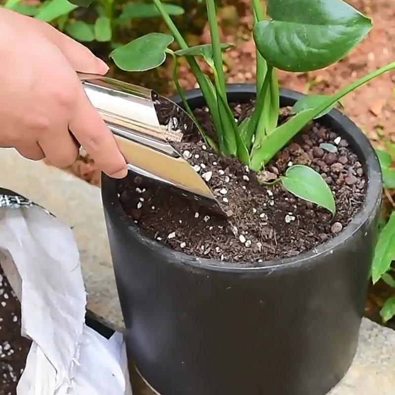 Soil Scoop 3X Stainless Steel  - Soil Scoop Tool ulasan dan harga